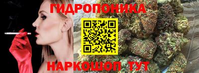 PSILOCYBIN Боровичи