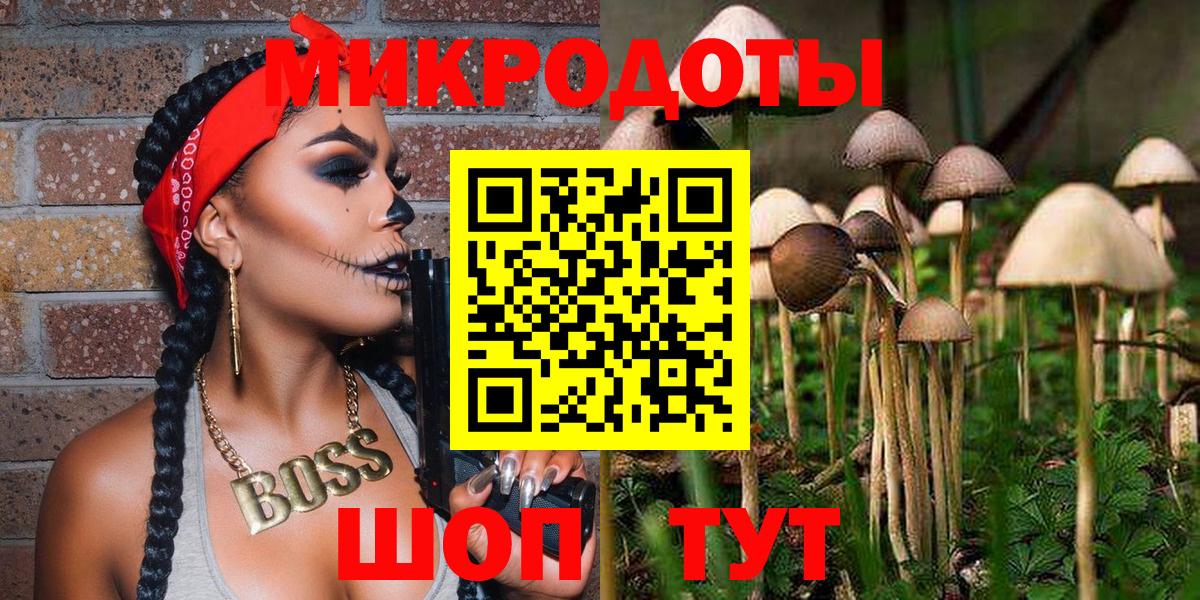Галлюциногенные грибы Psilocybe  Вход с VPN  Богородск 
